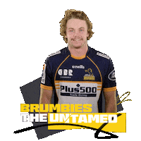 Super Rugby Act Sticker by BrumbiesRugby