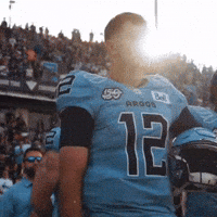 Toronto Kelly GIF