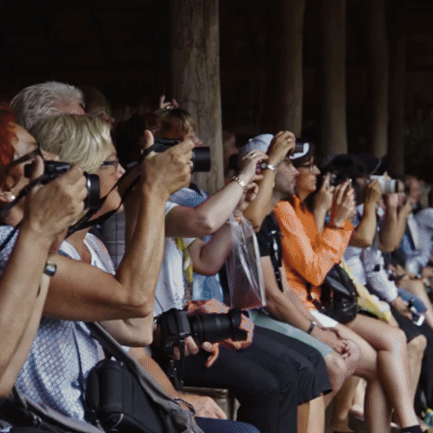 Animals Are Suffering