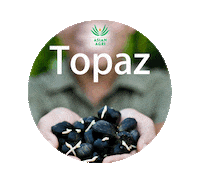 Asian_Agri  Sticker