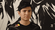 League Of Legends Lol GIF by G2 Esports