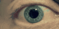 The Heist Weed GIF