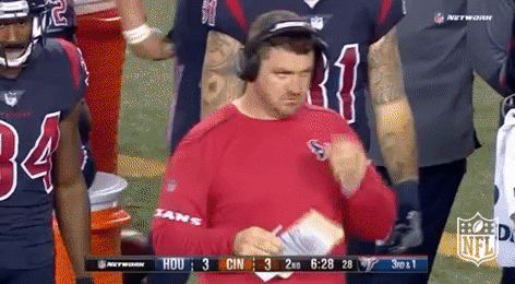 houston texans football GIF by NFL