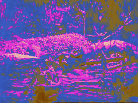 art colors GIF by MFD