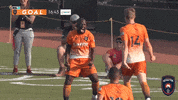 lansingignitefc celebration celebrate goal team GIF