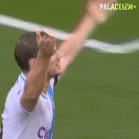 Premier League Celebration GIF by Crystal Palace Football Club
