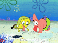 season 6 GIF by SpongeBob SquarePants