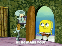season 6 GIF by SpongeBob SquarePants