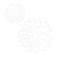 All Nighter Art Sticker by Urban Decay