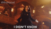 Season 4 Idk GIF by The Marvelous Mrs. Maisel