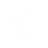 aleslimpieza jabon ales lavaropa chacachaca Sticker