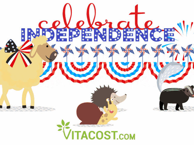 Vitacost giphyupload 4th of july parade 4th GIF