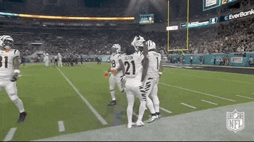 National Football League GIF by NFL