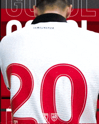 Kayan GIF by Samsunspor