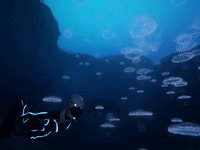 diving jellyfish GIF by Beyond Blue