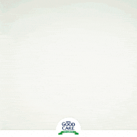 GIF by BNN México
