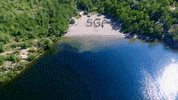 sga GIF by Laurentian University
