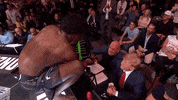 Donald Trump Sport GIF by UFC