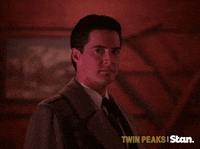 twin peaks GIF by Stan.