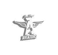 Tennis Court Sticker by San Diego Aviators