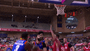 Liga Endesa Basketball GIF by ACB