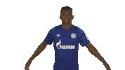 Fc Schalke 04 Love Sticker by Bundesliga