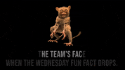 Happy Business Meeting GIF by BookClub