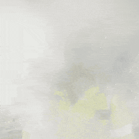 auto mist GIF by ANWB
