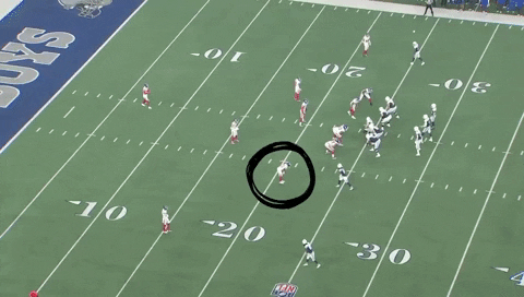 rb_nyg giphygifmaker GIF