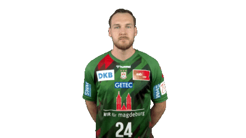 Handball-Bundesliga Handball Sticker by LIQUI MOLY HBL