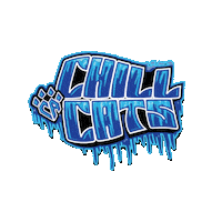 Cheer Athletics Sticker by CA Denver