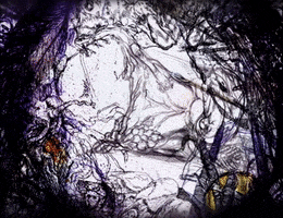 GIF by Alex Boya