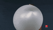 GIF by Bundesliga