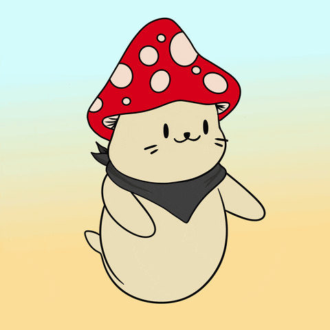 Dance Dancing GIF by Sappy Seals Community