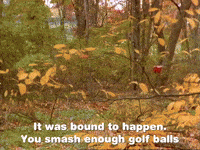 season 1 GIF