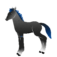 Horse Sticker by Star Stable