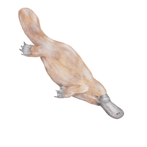 littleraeprints giphyupload art artist australia Sticker