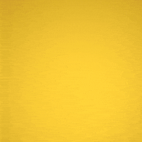 piÃ±ata pirate pirata c4d 36daysoftype GIF by gabrielpich