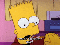 Season 4 Laura Powers GIF by The Simpsons