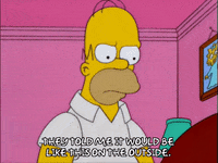 homer simpson GIF