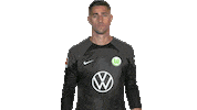 Koen Casteels Hello Sticker by VfL Wolfsburg