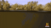 history rules GIF by Swamp People