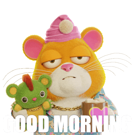 Good Morning Sticker by Grind