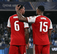 Gabriel Arsenal GIF by memes