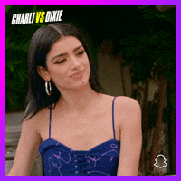 Dixie Snaporiginals GIF by Snap