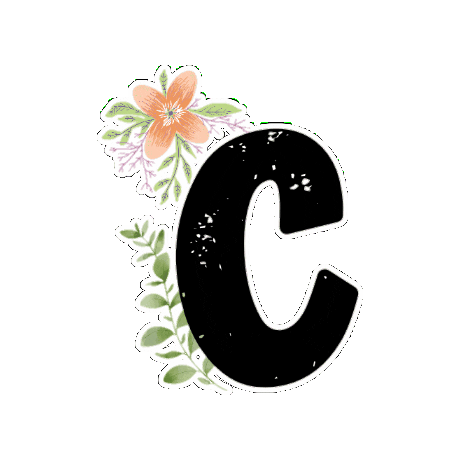 C Frases Sticker