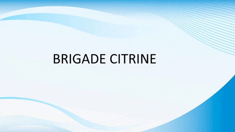 citrinelive giphyupload GIF