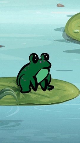 _Leejay magic frog change fairy GIF