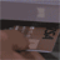 gifs for ants GIF