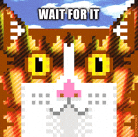 Cat Thank You GIF by PEEKASSO